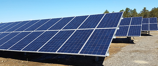 Bourne Community Solar Farm Photo 